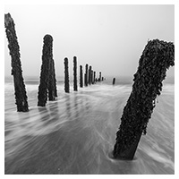 spurn point thumbnail