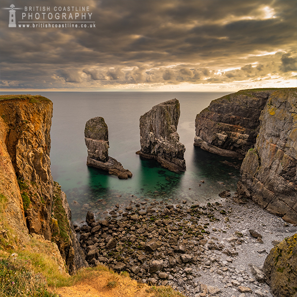 elegug sea stacks in golden light